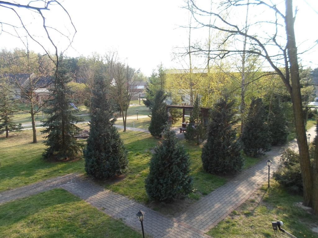 Center Angelos Bronków Kamer foto